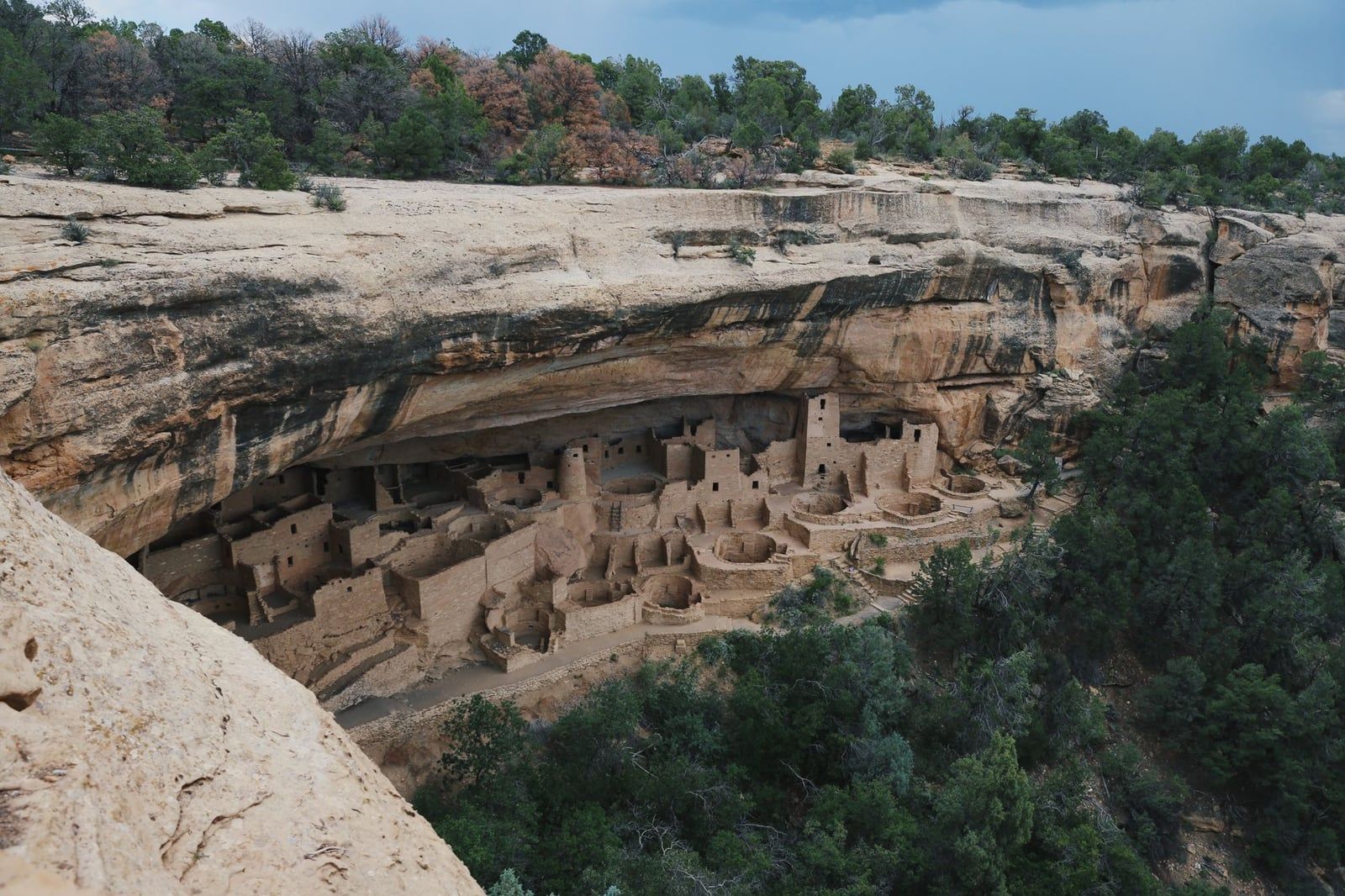 Die Felsenbehausung Cliff Palace eingebettet in eine weitläufige Sandstein-Nische im Mesa-Verde-Nationalpark.