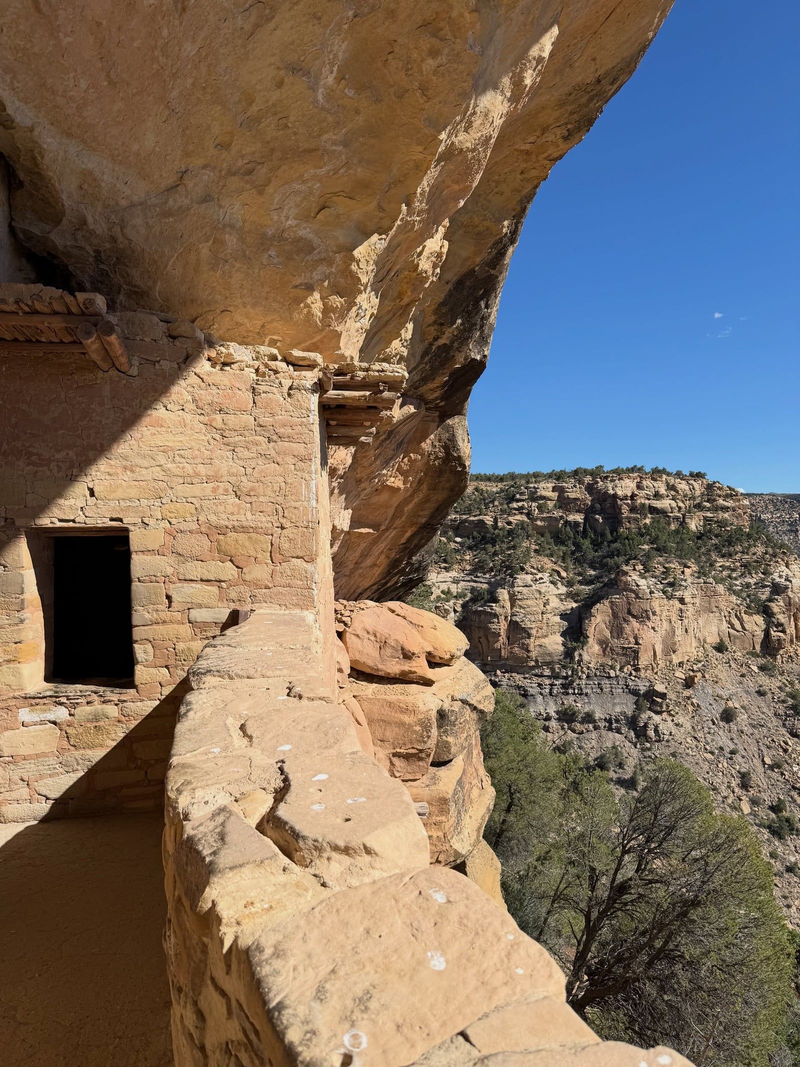 Vista di Parco Nazionale di Mesa Verde