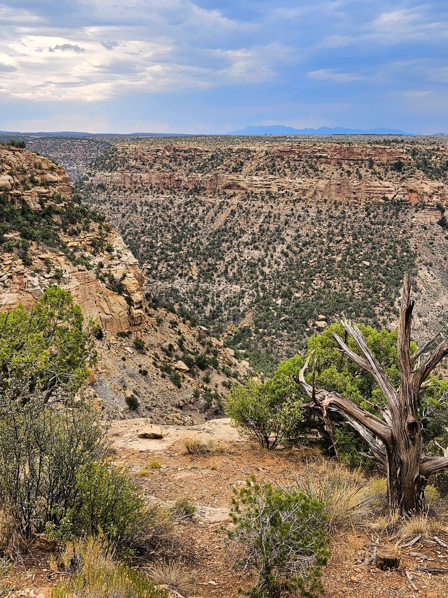 Vista di Parco Nazionale di Mesa Verde