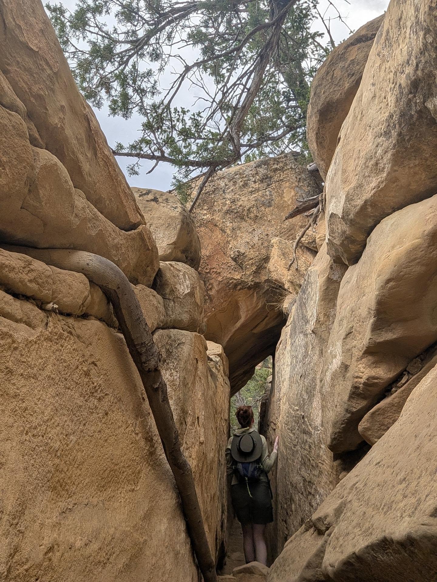 Foto de un visitante en un tour por Parque Nacional Mesa Verde